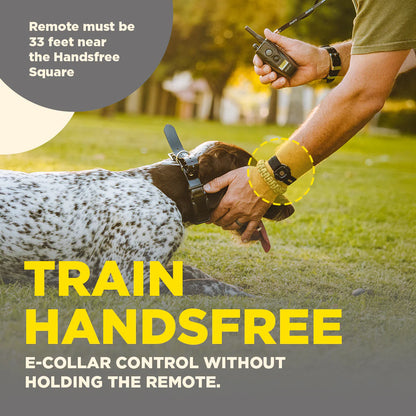 כפתור לשליטה מרחוק HANDSFREE SQUARE למערכות Dogtra
