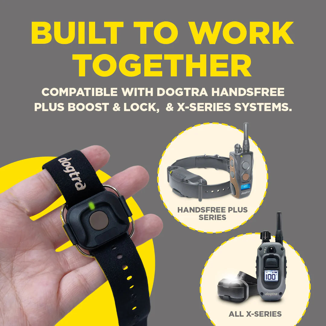כפתור HANDSFREE SQUARE למערכות Dogtra - שליטה ללא ידיים - דוגטרה ישראל