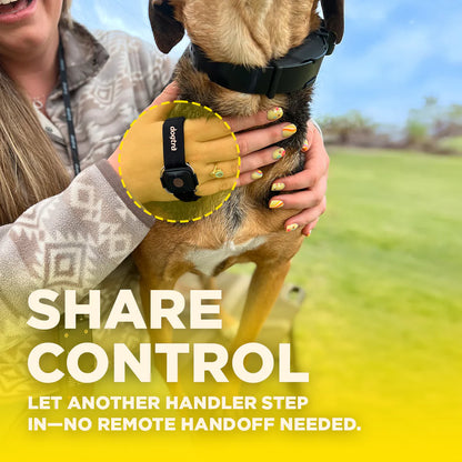 כפתור לשליטה מרחוק HANDSFREE SQUARE למערכות Dogtra