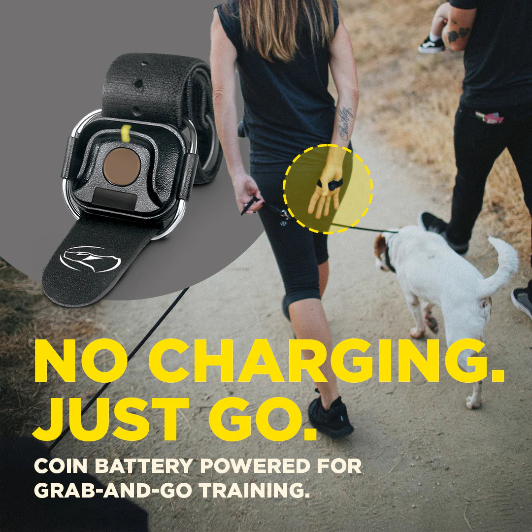 כפתור אלחוטי HANDSFREE SQUARE לשליטה מרחוק למערכות Dogtra - דוגטרה ישראל