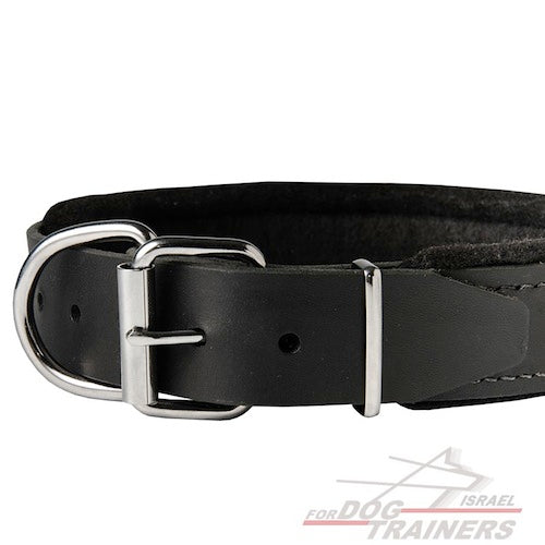 קולר לכלב מרופד מעור- רוחב 4.5 ס"מ - FOR DOG TRAINERS- ISRAEL