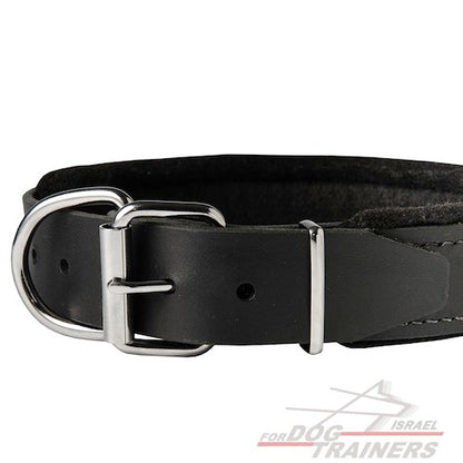 קולר לכלב מרופד מעור- רוחב 4.5 ס"מ - FOR DOG TRAINERS- ISRAEL