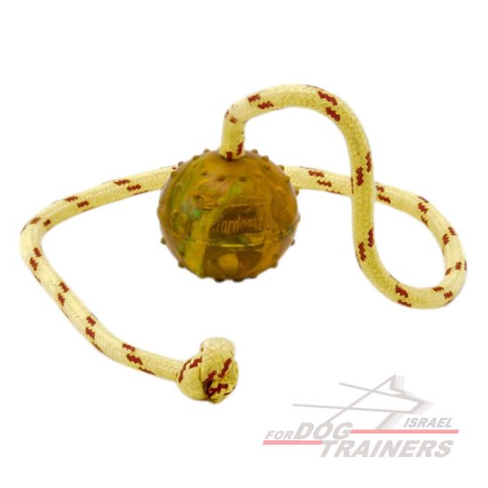 כדור אימון לכלבים על חבל עשוי גומי חלול - גודל קטן 5 ס"מ - FOR DOG TRAINERS- ISRAEL