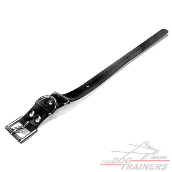 חדש! רצועה חלופית לקולר דוגטרה רוחב 1.8 ס"מ - FOR DOG TRAINERS- ISRAEL
