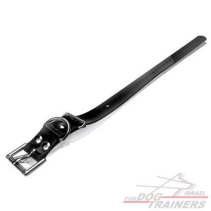 חדש! רצועה חלופית לקולר דוגטרה רוחב 1.8 ס"מ - FOR DOG TRAINERS- ISRAEL
