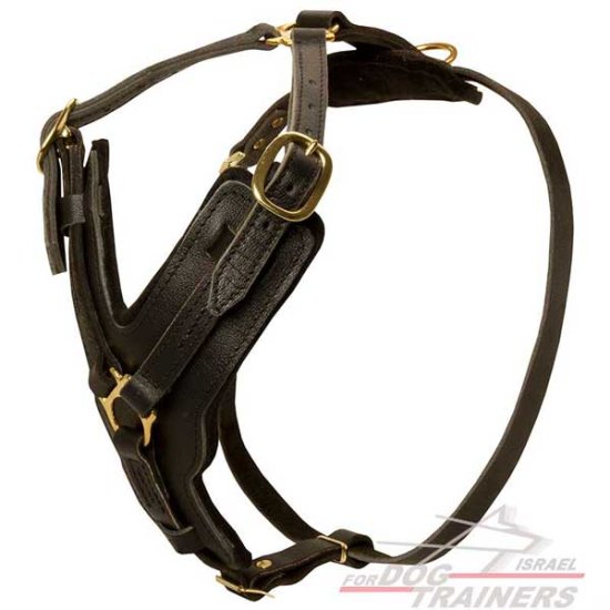 רתמה לכלב מעור אופנתית ומתכווננת עם אופציה לידית לאימון כלבים - FOR DOG TRAINERS- ISRAEL