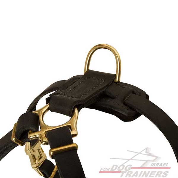 רתמת עור לכלב, מיועדת לגורים | לאימונים, טיולים ולגישוש - FOR DOG TRAINERS- ISRAEL