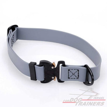 קולר מתכונן לכלב מביאוטן- בצבע אפור+ נעילת קוברה מקורית - FOR DOG TRAINERS- ISRAEL