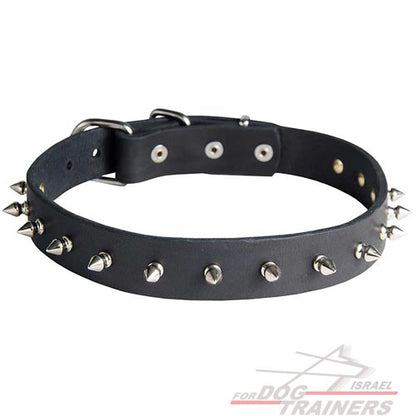 קולר לכלב מעור עם קישוט קוצני - FOR DOG TRAINERS- ISRAEL