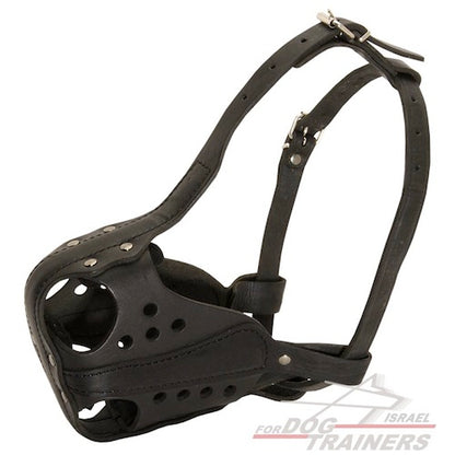 חדש! מחסום פה לכלב מיועד לכלבים עובדים - FOR DOG TRAINERS- ISRAEL
