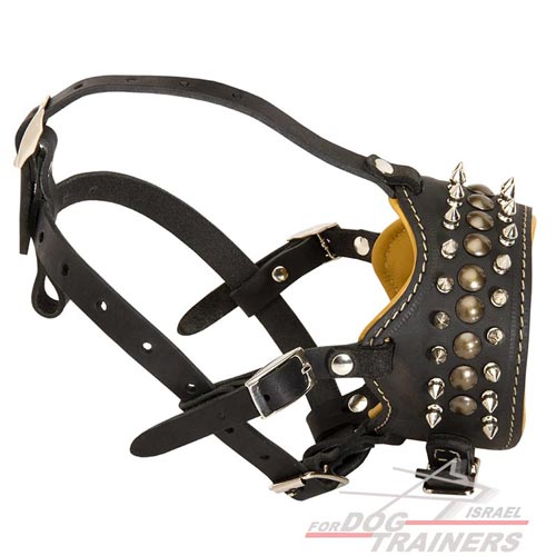 מחסום פה לכלב מעור עם ניטים וריפוד נאפה - FOR DOG TRAINERS- ISRAEL