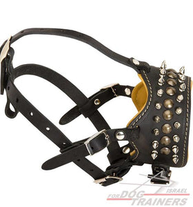 מחסום פה לכלב מעור עם ניטים וריפוד נאפה - FOR DOG TRAINERS- ISRAEL