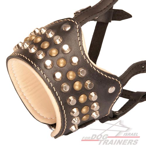 מחסום פה מלכותי לכלב עם ניטים ופירמידות - FOR DOG TRAINERS- ISRAEL
