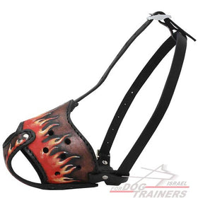 מחסום פה לכלב בעיצוב חדש ואקסקלוסיבי לכל הגזעים - FOR DOG TRAINERS- ISRAEL