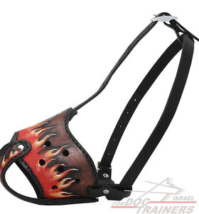 מחסום פה לכלב בעיצוב חדש ואקסקלוסיבי לכל הגזעים - FOR DOG TRAINERS- ISRAEL