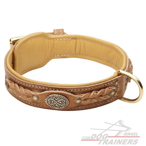 קולר לכלב מעור בסגנון מלכותי אקסקלוסיבי - FOR DOG TRAINERS- ISRAEL