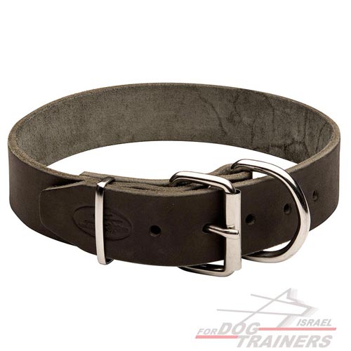 קולר לכלב מעור רך לשימוש יומיומי ברוחב 4 ס"מ - FOR DOG TRAINERS- ISRAEL