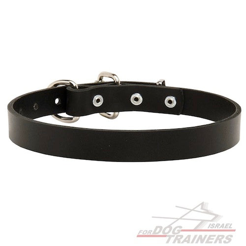 קולר לכלב מעור (2.5 ס"מ רוחב) - FOR DOG TRAINERS- ISRAEL