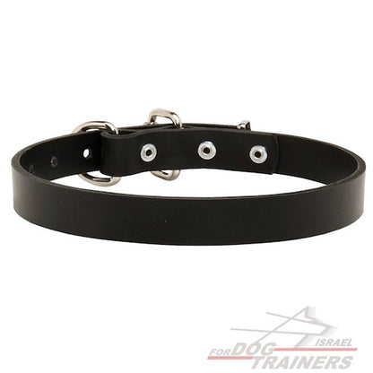 קולר לכלב מעור (2.5 ס"מ רוחב) - FOR DOG TRAINERS- ISRAEL