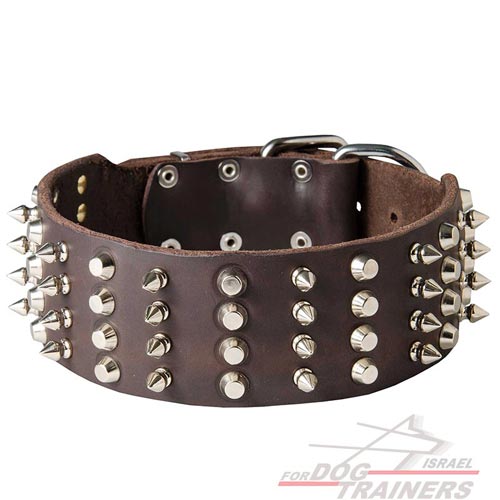 קולר לכלב מעור איכותי - מקושט ומסוגנן - FOR DOG TRAINERS- ISRAEL