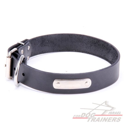 קולר עור עם תג שם בחריטה אישית! - FOR DOG TRAINERS- ISRAEL