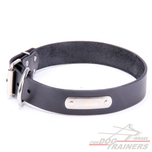 קולר עור עם תג שם בחריטה אישית! - FOR DOG TRAINERS- ISRAEL