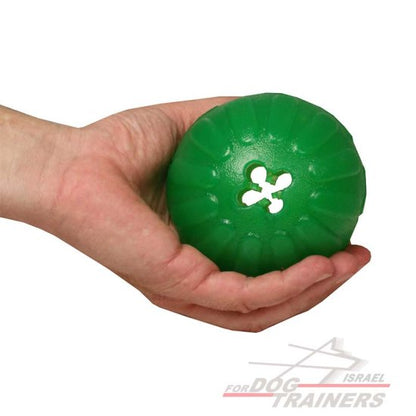 כדור לעיסה דיספנסר חטיפים לגזעי כלבים גדולים - FOR DOG TRAINERS- ISRAEL
