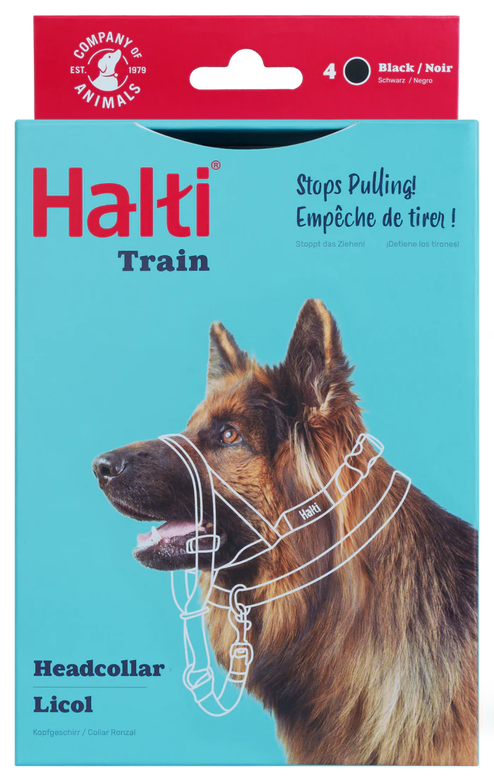 הלטי לכלב מידה 4 רתמת ראש נגד משיכות - FOR DOG TRAINERS ישראל