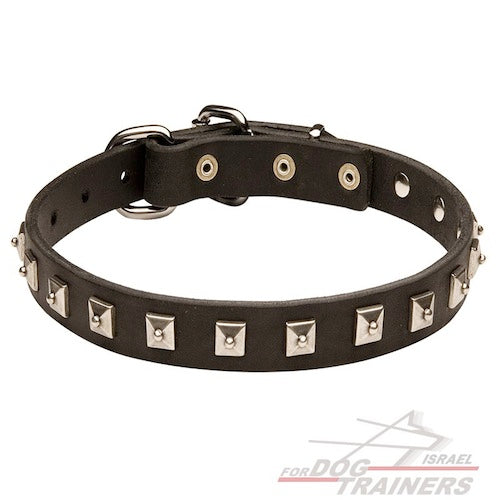 קולר עור לכלבים קטנים- בינוניים - FOR DOG TRAINERS- ISRAEL