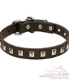 קולר עור לכלבים קטנים- בינוניים - FOR DOG TRAINERS- ISRAEL