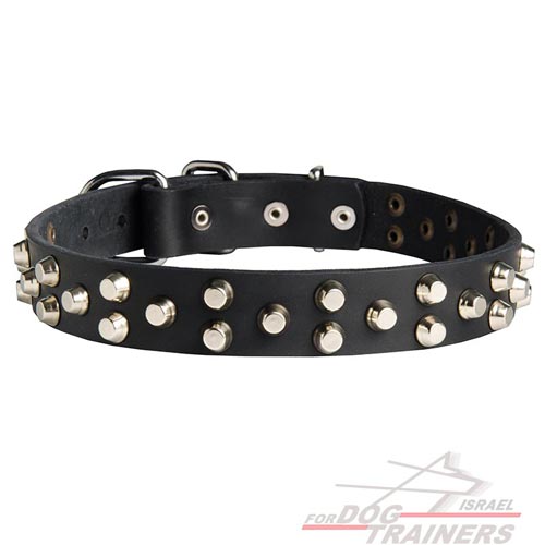 קולר לכלבים מעור עם קישוטי פרמידות - FOR DOG TRAINERS- ISRAEL