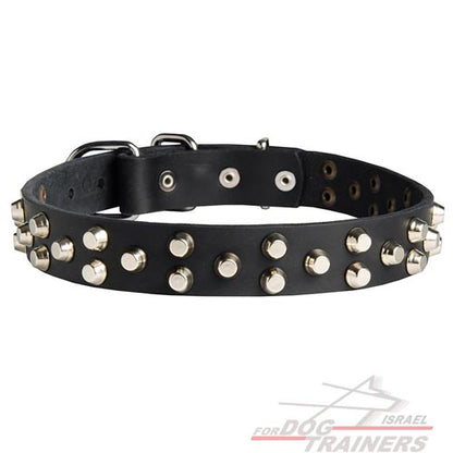 קולר לכלבים מעור עם קישוטי פרמידות - FOR DOG TRAINERS- ISRAEL