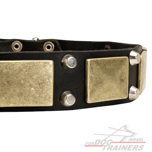 קולר לכלב מדהים מסגנון מלחמתי-אצילי - FOR DOG TRAINERS- ISRAEL