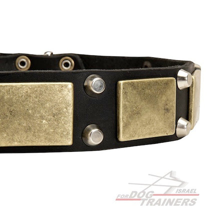 קולר לכלב מדהים מסגנון מלחמתי-אצילי - FOR DOG TRAINERS- ISRAEL