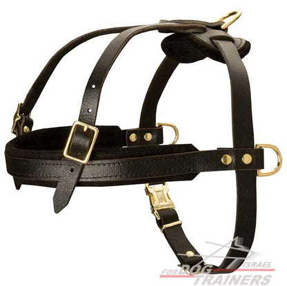 רתמת עור לכלב | לסחיבה / גרירה, גישוש ולטיולים - FOR DOG TRAINERS- ISRAEL