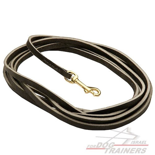 רצועת עור לכלב הטובה ביותר לגישוש - FOR DOG TRAINERS- ISRAEL