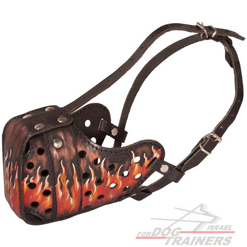 זמם לכלב מעור בצביעה ידנית וייחודית "להבות אש" - FOR DOG TRAINERS- ISRAEL