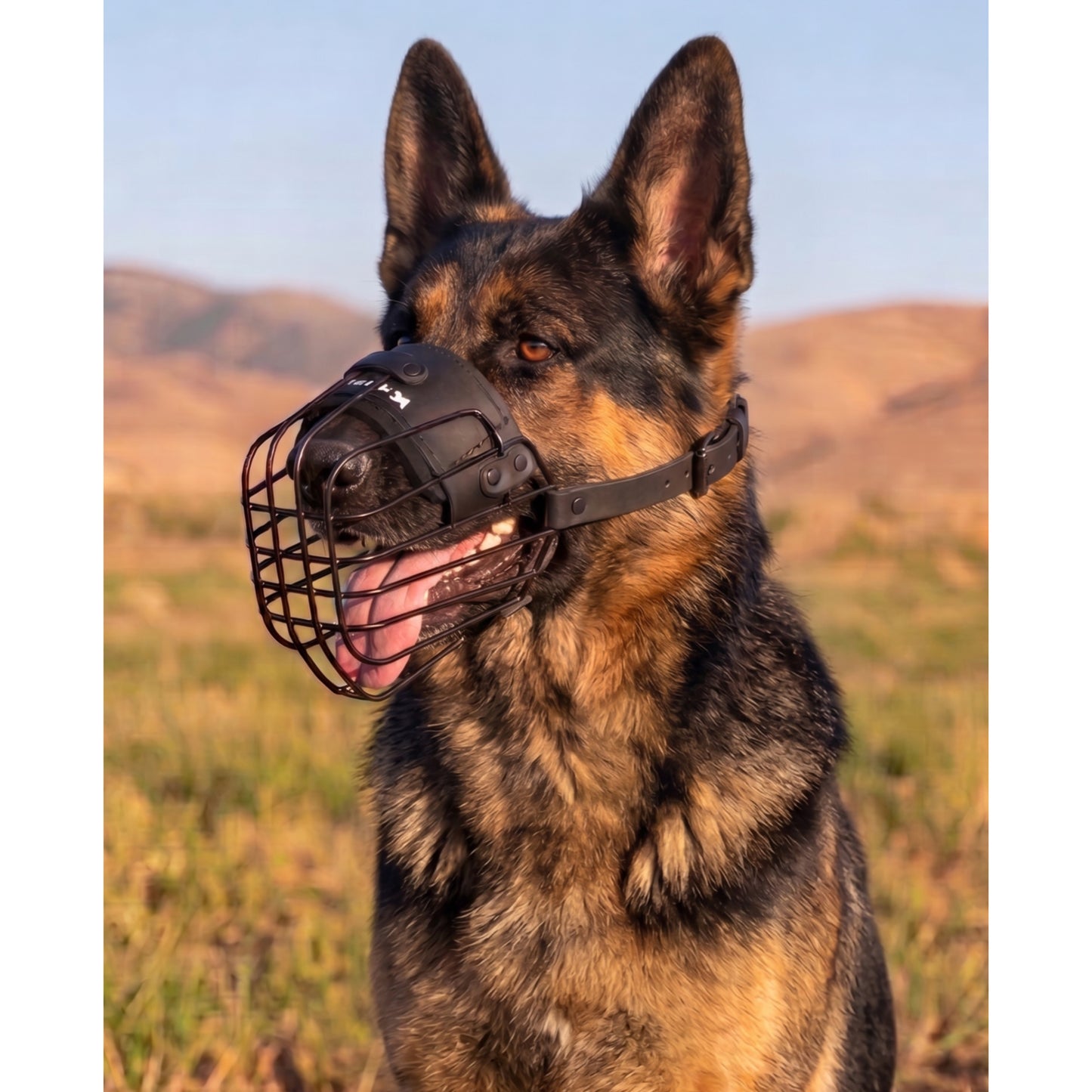 מחסום מינימליסטי קל משקל לרועה גרמני - FOR DOG TRAINERS ישראל