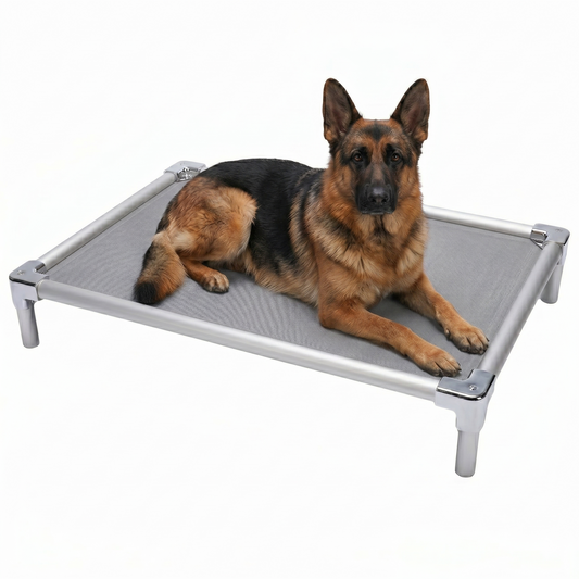 מיטת אלומיניום אורטופדית לרועה גרמני