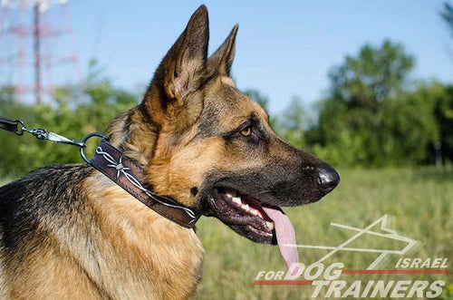 קולר לכלב מעור בצביעה ידנית - דגם "חוט תיל" - FOR DOG TRAINERS- ISRAEL