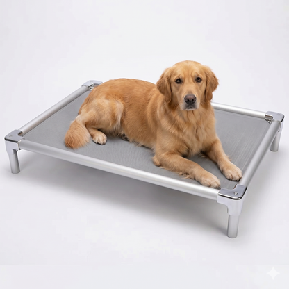 Orthopedic aluminum elevated bed for Golden Retriever