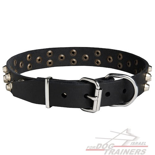 קולר לכלבים מעור עם קישוטי פרמידות - FOR DOG TRAINERS- ISRAEL