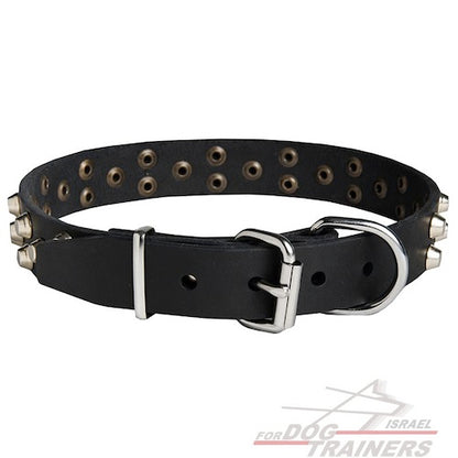 קולר לכלבים מעור עם קישוטי פרמידות - FOR DOG TRAINERS- ISRAEL