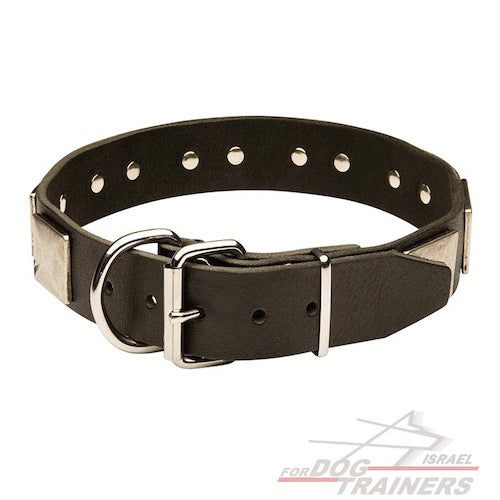 קולר לכלב מעור - מסוגנן כמו בסרטים - FOR DOG TRAINERS- ISRAEL