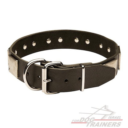 קולר לכלב מעור - מסוגנן כמו בסרטים - FOR DOG TRAINERS- ISRAEL