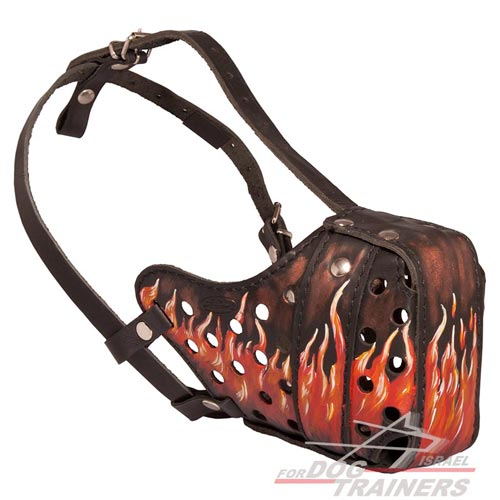 זמם לכלב מעור בצביעה ידנית וייחודית "להבות אש" - FOR DOG TRAINERS- ISRAEL