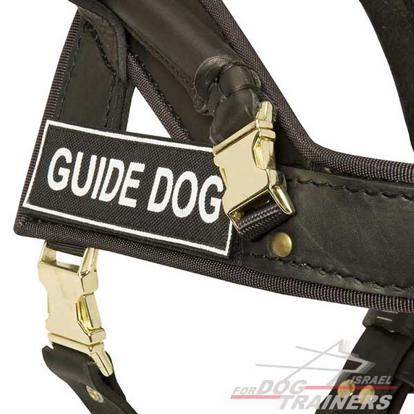 רתמת עור לכלב באיכות גבוהה | עם ידית ארוכה לכלבי נחייה וסיוע - FOR DOG TRAINERS- ISRAEL