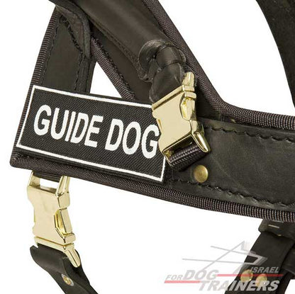 רתמת עור לכלב באיכות גבוהה | עם ידית ארוכה לכלבי נחייה וסיוע - FOR DOG TRAINERS- ISRAEL