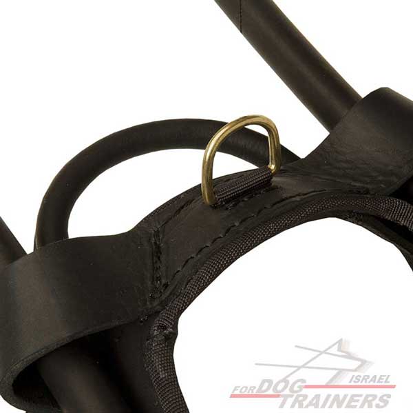 רתמת עור לכלב באיכות גבוהה | עם ידית ארוכה לכלבי נחייה וסיוע - FOR DOG TRAINERS- ISRAEL