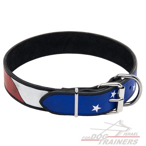 קולר לכלב מעור בצביעה ידנית - גאווה אמריקאית - FOR DOG TRAINERS- ISRAEL